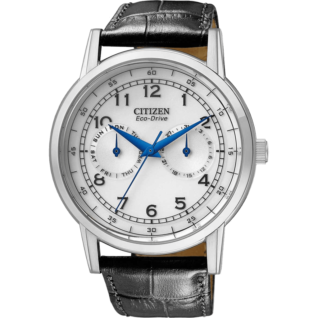 Citizen AO9000-06B watch