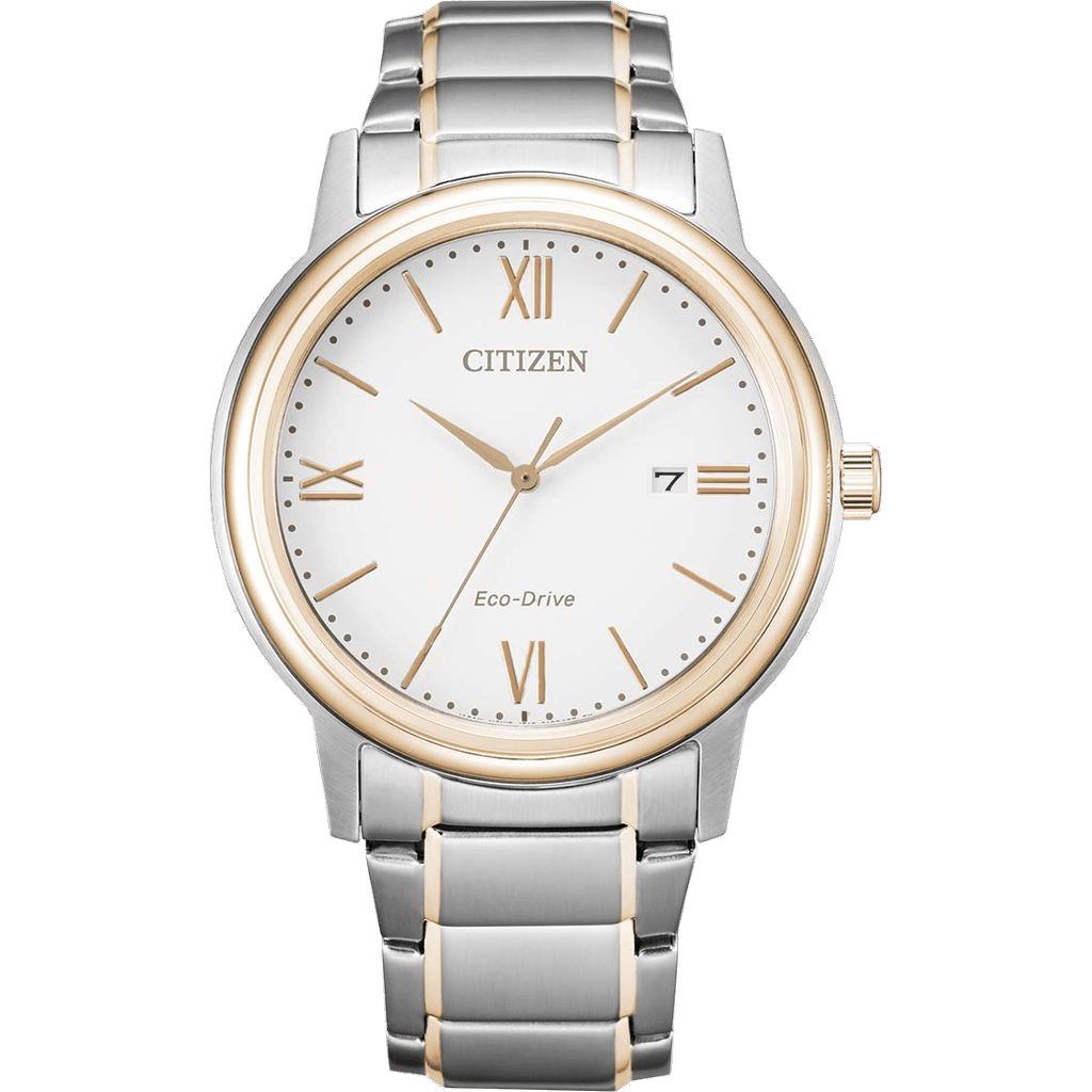 Citizen AW1676-86A watch