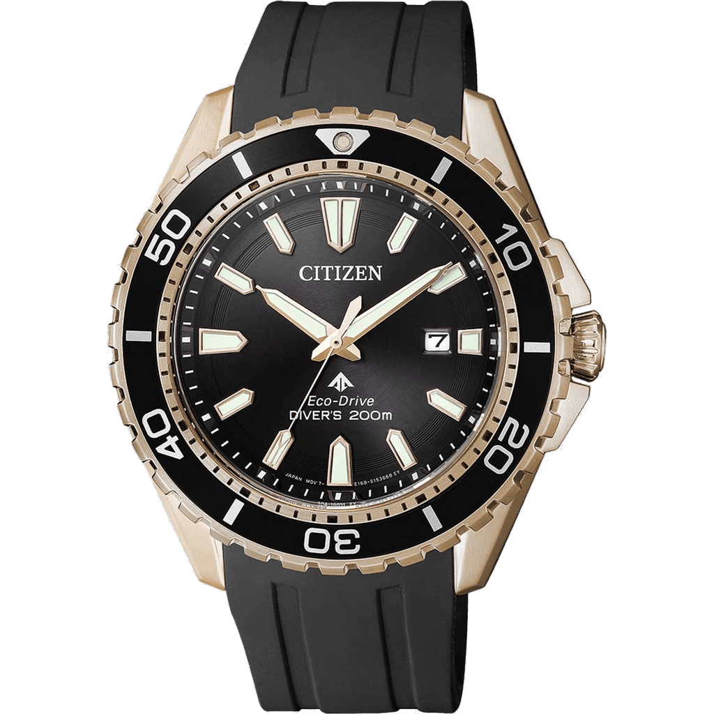 Citizen BN0193-17E watch