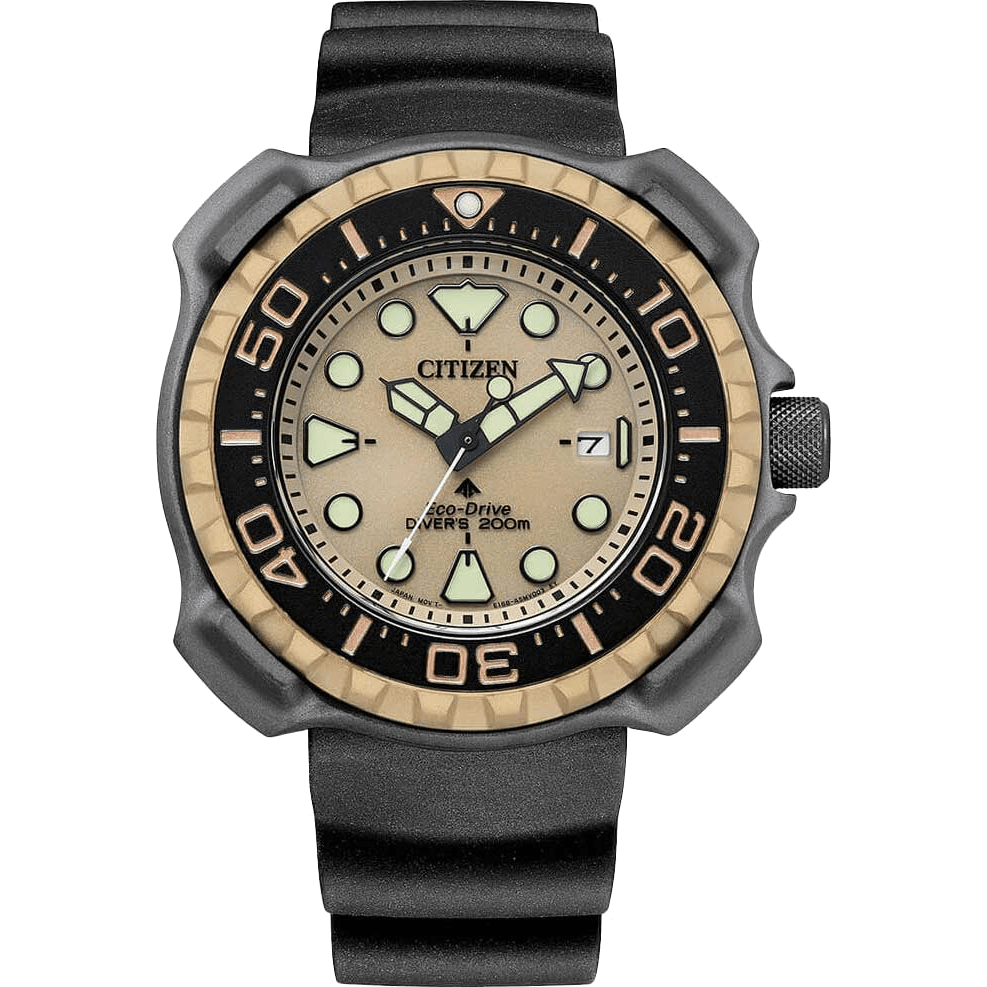 Citizen BN0226-10P watch