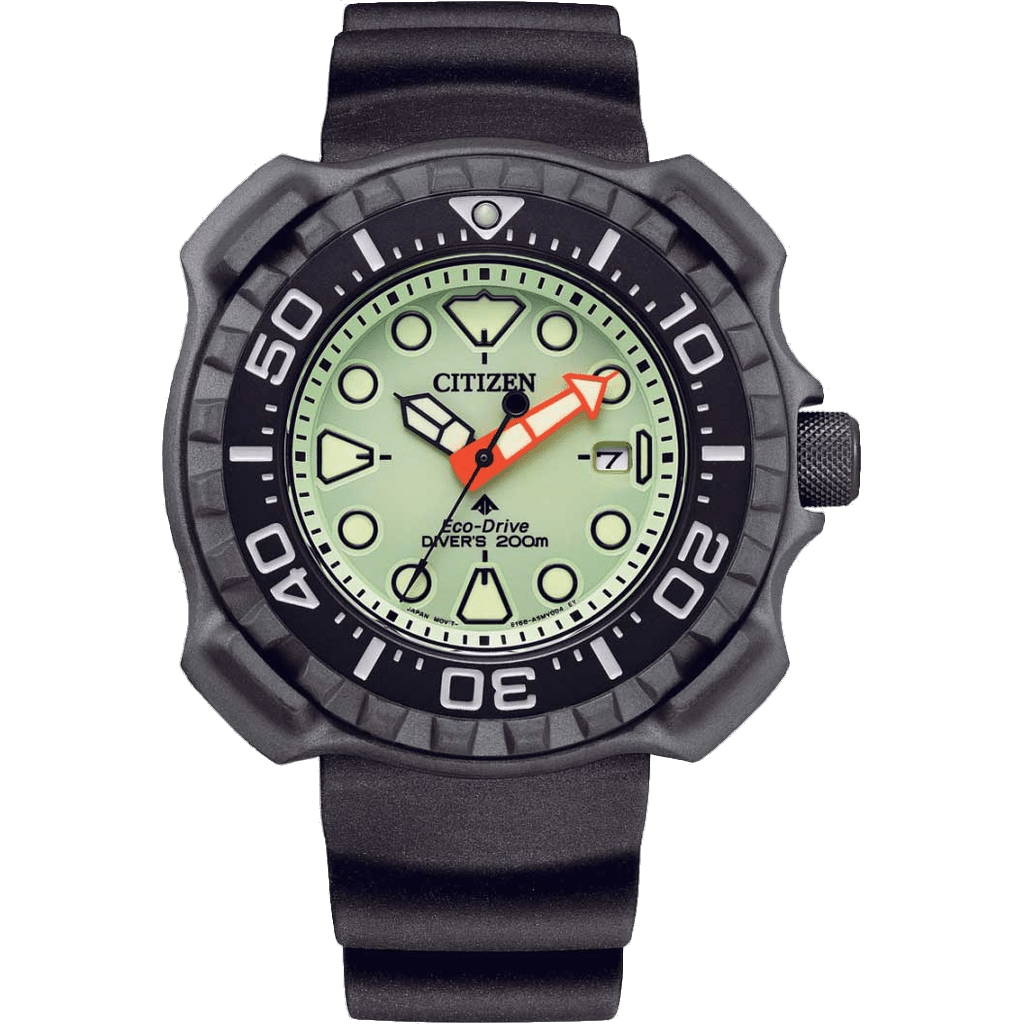 Citizen BN0227-17X watch