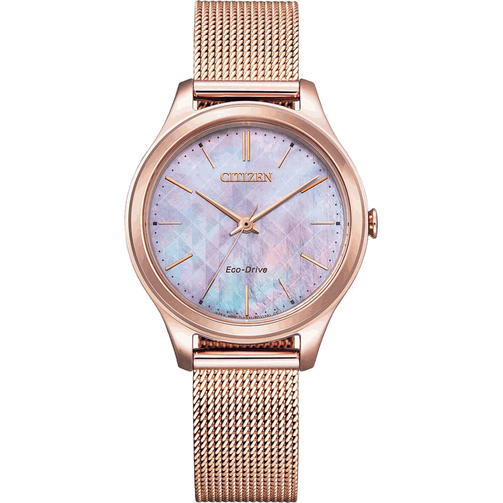 Citizen EM0508-80Y watch